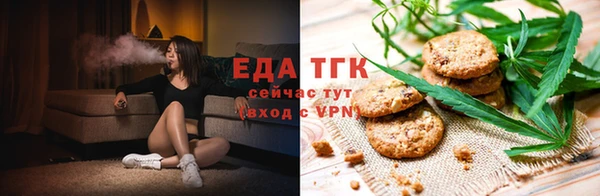 амф Бородино