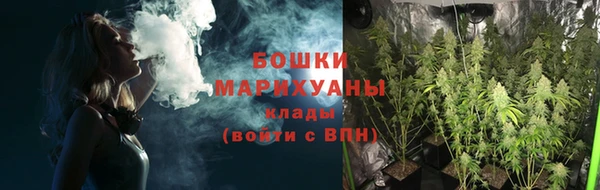 кокс Богородицк