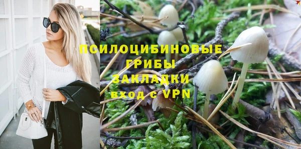 COCAINE Богданович