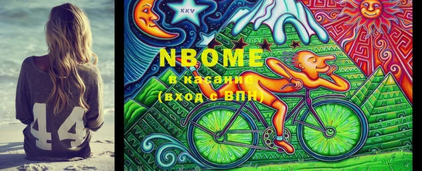 индика Бронницы