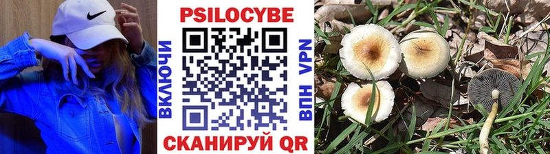 KRAKEN как зайти  Мценск  Галлюциногенные грибы ЛСД 