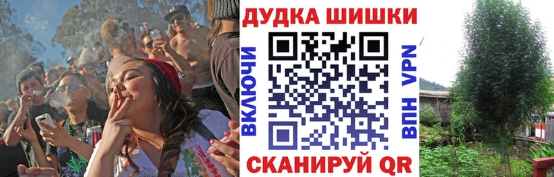 Канабис White Widow купить сайты Мценск
